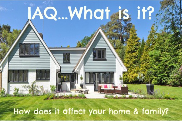 what is IAQ