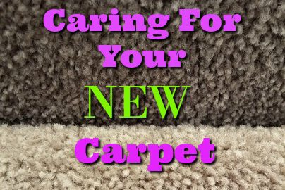 manchester carpet cleaning care
