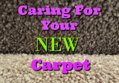 New Carpet Cleaning Care